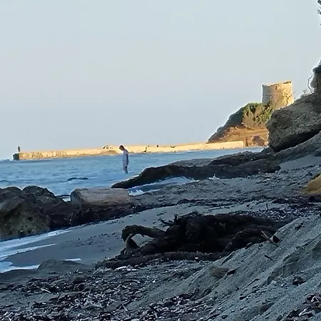 La Palge Le Centuri *